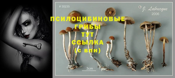 мдпв Красноперекопск