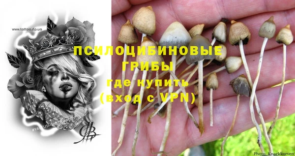 дживик Краснотурьинск